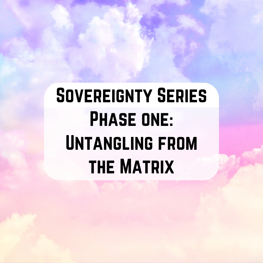 Sovereignty Series Phase one_ Untangling from the Matrix